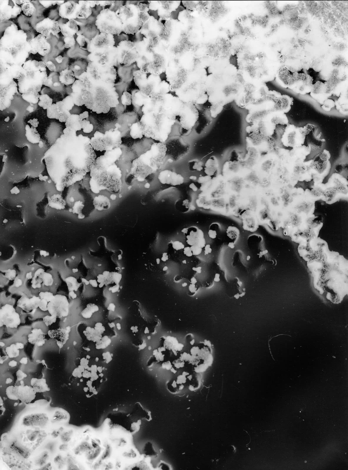 Expérimentations argentiques en noir et blanc sur papier Illford. Expérimentations plastiques sur surfaces transparentes, sans négatif - Fullscreen