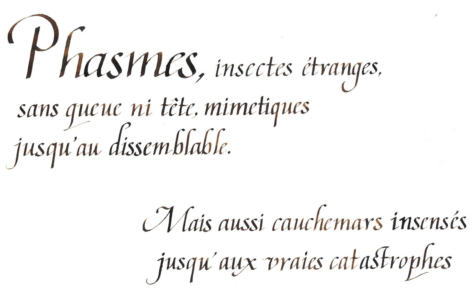 Félix Farjas - Calligraphie